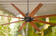 Outdoor Ceiling Fans with Remote