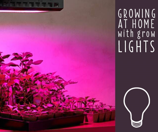 How Choose the Best Grow Lights for - Ideas & Advice | Lamps Plus